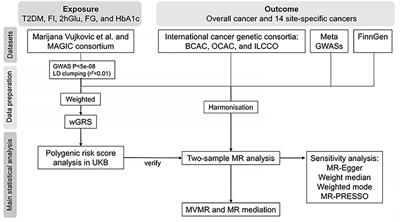 Fasting Insulin and Risk of Overall and 14 Site-Specific Cancers: Evidence From Genetic Data